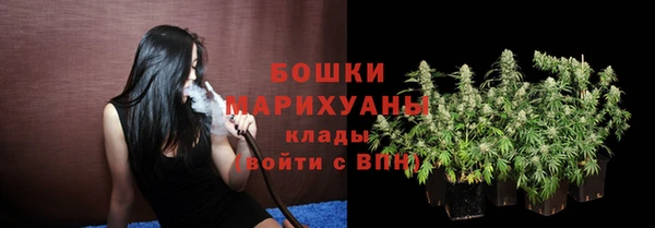 МДПВ Козельск