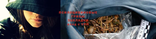 мяу мяу мука Кодинск